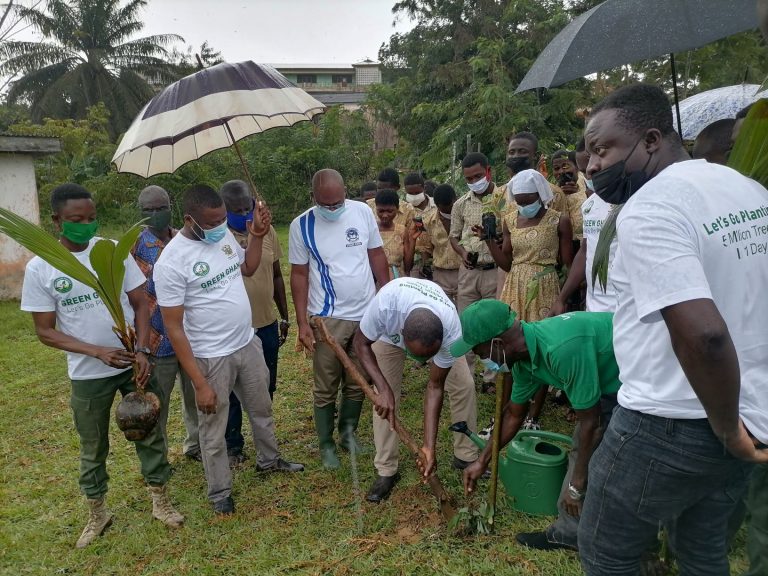 TREES DEFINE OUR LIVES – HON. BONZOH